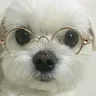 Imagen de perfil de Somora
