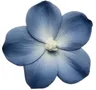 Imagen de perfil de Erin Manley